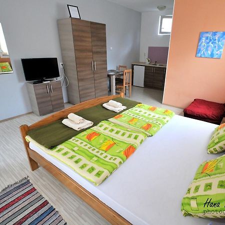 Apartments Svetlica Backi Petrovac Eksteriør bilde
