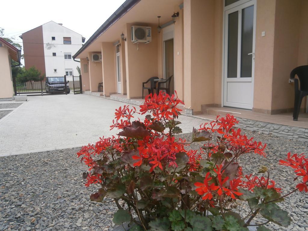 Apartments Svetlica Backi Petrovac Eksteriør bilde